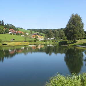 Badesee Rechberg                             