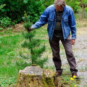 Waldbegehung