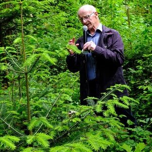 Waldbegehung