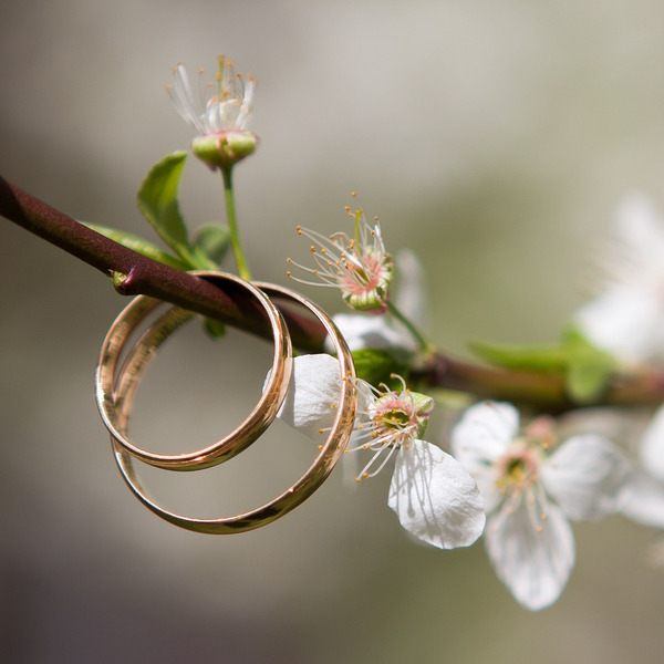 Hochzeit und Ehe / © Bairyna/pixabay.com/Pixabay License Hochzeit und Ehe