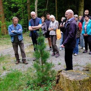Waldbegehung