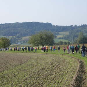 Ökum. Pilgerwanderung / Dekanat Eferding Ökum. Pilgerwanderung