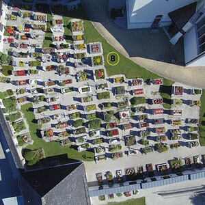 Friedhof