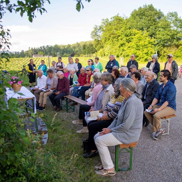 Maiandacht Jubiläumskreuz / © Pfarrgemeinde Schönering